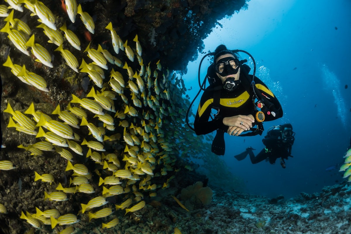 Deep Waters