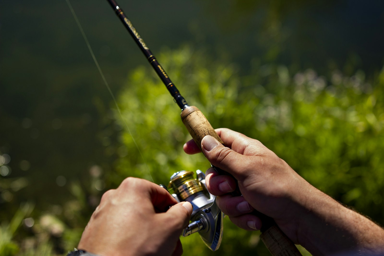Equipo ligero — modalidad de pesca
